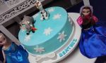 Decorao Provenal do Frozen