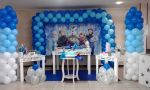 Decorao Provenal do Frozen