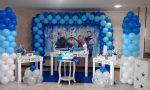 Decorao Provenal do Frozen