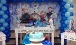 Decorao Provenal do Frozen