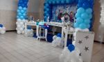 Decorao Provenal do Frozen