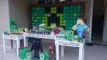 Minecraft Provenal