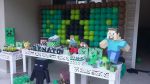 Minecraft Provenal