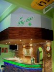 Fly Bar