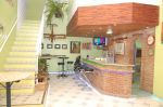 Fly Bar
