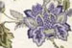 Tecido floral lils