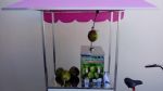 Food bike de �gua de coco gelada