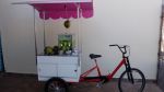 Food bike de  �gua de coco profissional