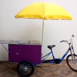 Food bike gourmet para açaí, água de coco e bebidas geladas. modelo IDEALMAQ - codigo fct2