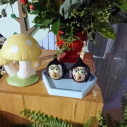 maça da branca de neve a bruxa