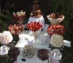 Cascata de Chocolates ( Self Service no potinho)