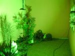 Jardim.