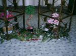 Jardim da mesa de vidro