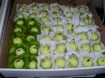 camafeu de cerejas