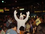 Colho da Pscoa