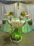 Festas casamento/15 anos