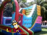 tobog estrela 
8x5m