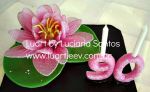 Topo Flor de Lotus 
90 anos