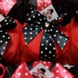 Festa da Minie.