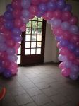 LIL�S E ROSA6