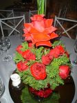 rosas