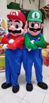 MARIO BROS E LUIGI