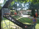 Basquete eletr�nico com duas cestas e marcador de ponto digital,podendo jogar at� 8 pessoas.