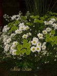 Arranjo de cerimônia em flor do campo