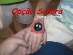 Animao Infantil
