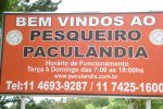 Paraso dos Pacus