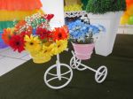 Bicicletinha flor