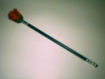 Apario da Rosa     R$ 3,00