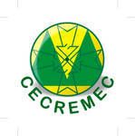 Funcionrios da Cemig