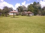 AREA VERDE