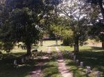 ENTRADA DO RANCHO