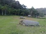 Trilha Ecolgica