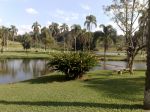 Jardins para fotografia