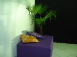 Puffs Decorativos