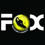 logo para Fox mkt eventos