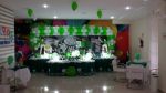 Festa do Matheus em Palmeiras 26/09