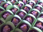 Copinhos de chocolate com nozes,damasco e castanha