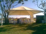 TENDA 10 X 10 PIRAMIDAL
