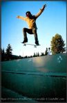 Skate