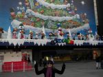 Demais serviços: Recepcionistas,carros de som, panfletagem de rua,decorações para festas específicas: Ano Novo,Páscoa,Natal,Dia das Mães,Etc...