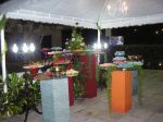 15 anos - LUAU