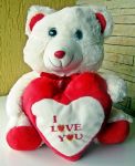 Pelucia Urso Polar I Love You - Medio - R$ 30,00 - Cod. A - 05