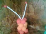 Trabalho de balo