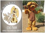 Mascote Big - Miaus e Au Aus - Braslia - DF