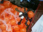 Vitrine Aranha