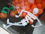 Vitrine com abboras e esqueleto